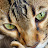 @mintsiez's avatar