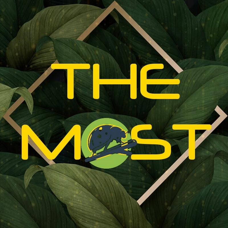 The Most