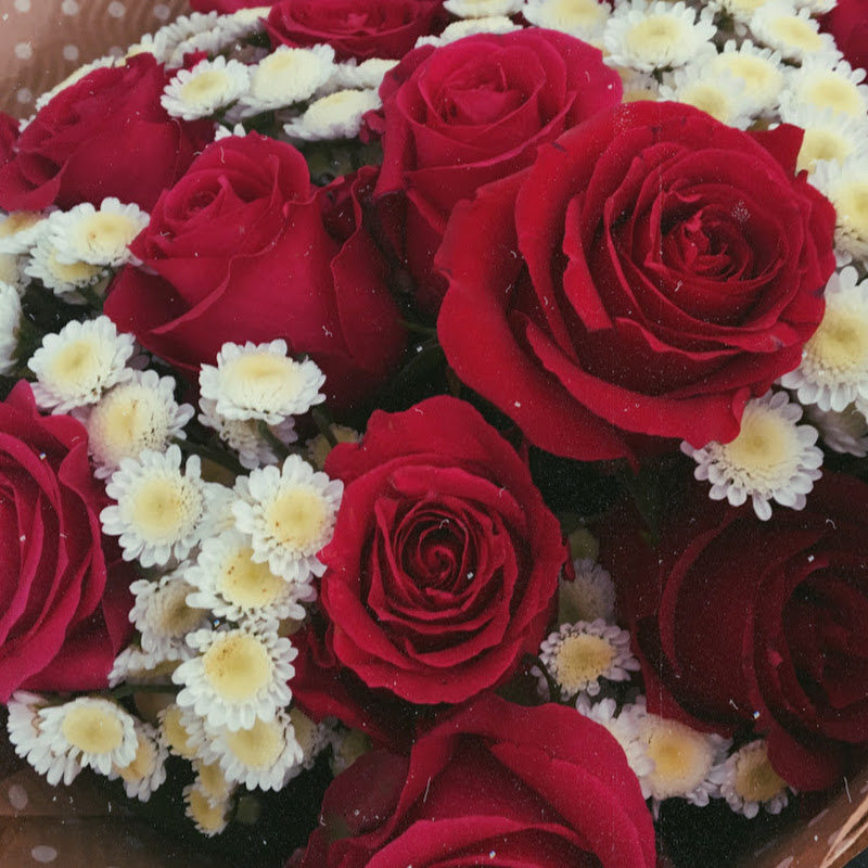 Кожен зможе Logo