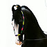 nBKV_iHvfVk-channel-avatar-Culture Of Horse