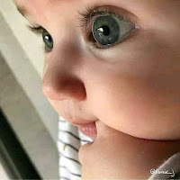 Shahrukh Khan profile image