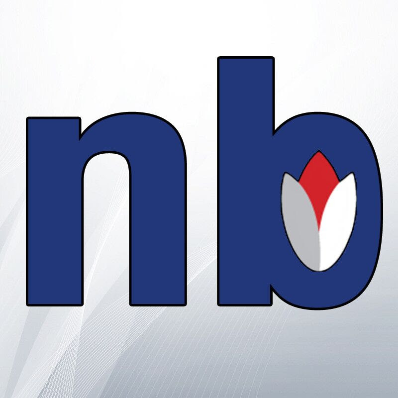 Newsbud icon