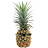 Ya Pineapple