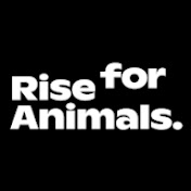 Rise for Animals