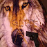 o1wFU2KZHsI-channel-avatar-lucky43113