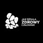 Jak działa zdrowy człowiek