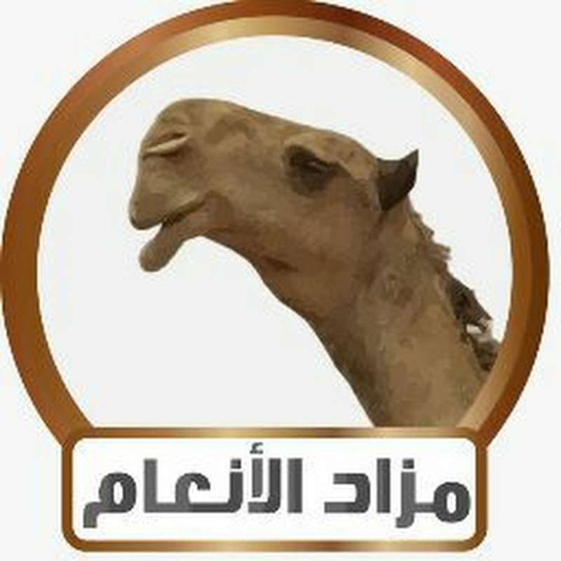 ابويزيد مزاد الأنعام