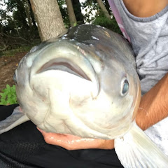 Bassmaster_26