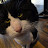 @garethL375's avatar