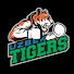 HtCOjh5ncIM-channel-avatar-Uzbek Tigers