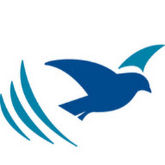 True Jesus Church Newcastle