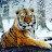 @edwardbagdasarian3634