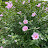 @user-ye7dr9ko4u
