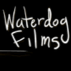 WaterDogFilms net worth