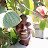 @sifwawostephen1826