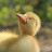 @TimErwin