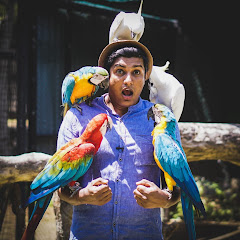 Travel With Chatura net worth