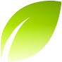True Life Church logo
