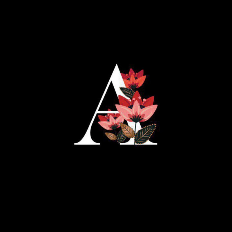 Aminka Channel icon