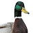 @John8087 Avatar