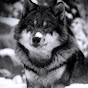 Finnish Wolfie