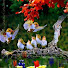 FkSSzdyXW54-channel-avatar-treasure