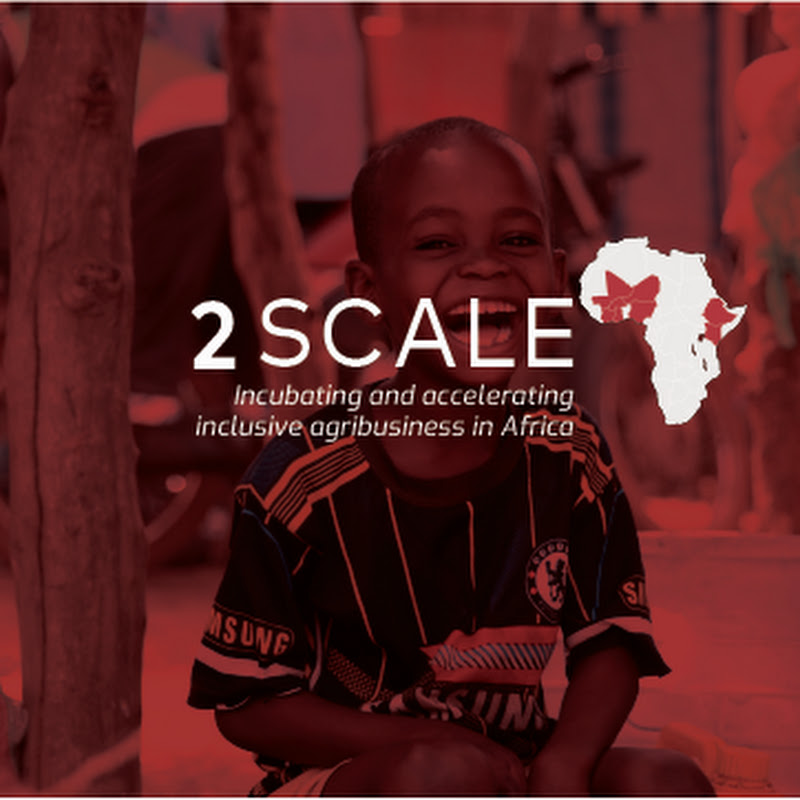 2SCALE