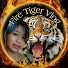 Fire Tiger Vlog