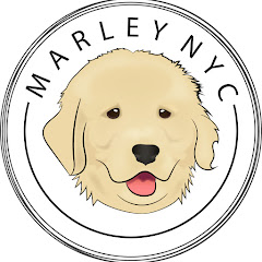 MARLEY NYC net worth