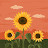 @sunmask5800
