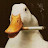 @MrTh2869's avatar