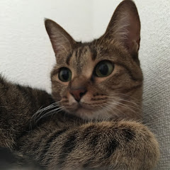 ジジキキ ゆう
