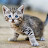 @keithbarrett4630 Avatar