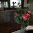 @user-et8vx9mw9m