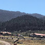 eduardoa8640