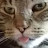 @francescarobertson9680 Avatar