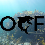 OCF Freediving