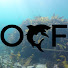 LcE9Uh8d8vU-channel-avatar-OCF Freediving