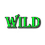 WILD Conservation (WILD) logo