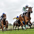 UptYYuh_f8c-channel-avatar-Czech Horse Racing