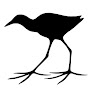 Jacana Contenidos logo