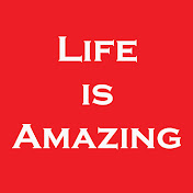 Life is Amazing