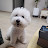 @nayoonlee2555