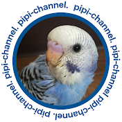 pipi-channel