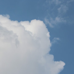 マクドネル治郎