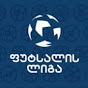 Georgian Futsal League logo