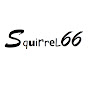squirrel66 logo
