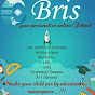 Bris Homeschool logo