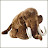 @JC-Denton Avatar