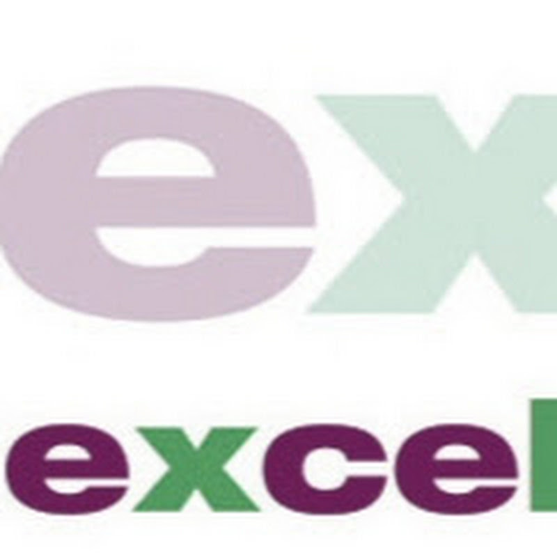 Excellent Consultancy Logo